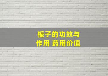 栀子的功效与作用 药用价值